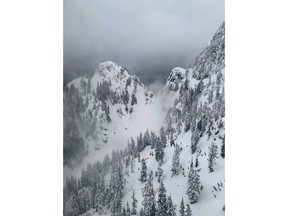 The search area on Runner Peak on Vancouver‚Äôs North Shore is shown in a handout photo from North Shore Rescue. Rescuers intend to make another attempt to find a snowshoer who has been missing since an avalanche in the backcountry of Vancouver's North Shore. THE CANADIAN PRESS/HO-North Shore Rescue MANDATORY CREDIT