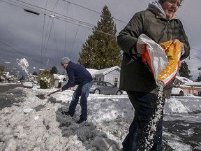 Sue Horgan, of Tacoma, salts her driveway as neighbor Michael Dane helps with the shoveling, Sunday, Feb. 10, 2019, in Tacoma, Wash. Pacific Northwest residents who are more accustomed to rain than snow were digging out from a winter storm and bracing for more on Sunday.