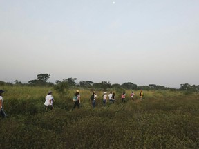 Youths wearing white T-shirts and Venezuelan flags hike through an unmarked trail between high bushes to sneak into Colombia, for the "Venezuela Aid Live" concert on the Colombian side of the border, in Palotal, Venezuela, Friday, Feb. 22, 2019. Venezuela's power struggle is set to become a battle of the bands Friday when musicians demanding President Nicolas Maduro allow in humanitarian aid and those supporting his refusal sing in rival concerts being held at both sides of a border bridge where tons of donated food and medicine are stored.