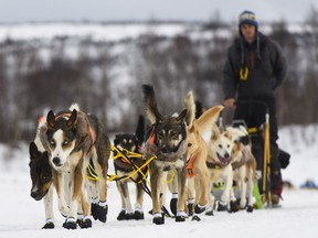 In this Thursday, March 7, 2019 photo, Joar Leifseth Ulsom departs the Ghost Town, checkpoint of Iditarod, Alaska, during the Iditarod Trail Sled Dog Race.