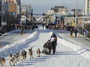 Defending champion Joar Lefseth Ulsom runs his team down Fourth Ave during the ceremonial start of the Iditarod Trail Sled Dog Race Saturday, March 2, 2019 in Anchorage, Alaska.