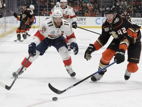 Anaheim Ducks defenseman Josh Manson, right, knocks the puck away from Florida Panthers left wing Jonathan Huberdeau during the first period of an NHL hockey game in Anaheim, Calif., Sunday, March 17, 2019.