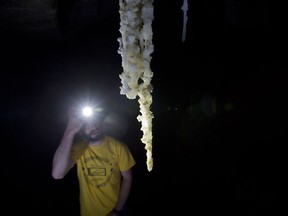 In this Wednesday, March 27, 2019 photo, Boaz Langford, a researcher at the Israel Cave Research Center of the Hebrew University of Jerusalem, uses his torch light to examine salt stalactites hanging from the ceiling of Malham Cave at the Dead Sea in Israel.
