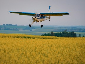 Farmer pilot David Reid lands his 1957 Helio Courier H391b on a landing strip between to fields of canola near Cremona, Alta., Saturday, July 8, 2017.