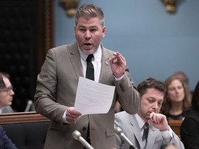 Parti Quebecois interim Leader Pascal Berube rises during question period Wednesday, February 6, 2019 at the legislature in Quebec City.