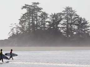 Surfers head into the water in Tofino, B.C. Wednesday, Oct. 13, 2010.