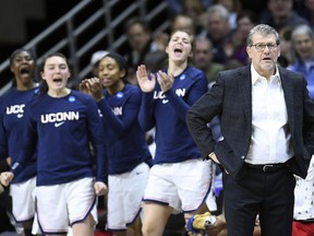 Connecticut head coach Geno Auriemma, right, leads his team from the sideline during a first round women's college basketball game against Towson in the NCAA Tournament, Friday, March 22, 2019, in Storrs, Conn.