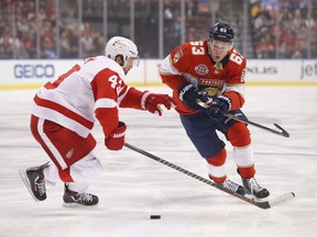 Florida Panthers right wing Evgenii Dadonov (63) and Detroit Red Wings left wing Darren Helm (43) battle for the puck during the first period of an NHL hockey game, Sunday, March 10, 2019, in Sunrise, Fla.