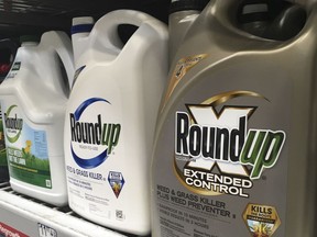 FILE - In this Sunday, Feb. 24, 2019 file photo, containers of Roundup are displayed on a store shelf in San Francisco. A jury in federal court in San Francisco has concluded that Roundup weed killer was a substantial factor in a California man's cancer. The unanimous verdict on Tuesday, March 19, 2019, came in a trial that plaintiffs' attorneys said could help determine the fate of hundreds of similar lawsuits against Roundup's manufacturer, agribusiness giant Monsanto.