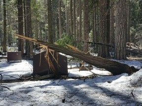 In this photo released Wednesday, March 13, 2019, by the National Park Service, is a damaged bear box after the recent heavy snowpack in Yosemite National Park, Calif. The park announced that there will be late seasonal openings to facilities due to the exceptionally heavy snowpack and the subsequent extensive damage to many park facilities.  (NPS Photo via AP)