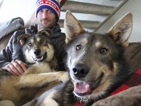 This Wednesday, March 20, 2019, photo shows Iditarod musher Nicolas Petit posing with two of his dogs in Anchorage, Alaska.
