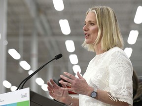 Minister of Environment and Climate Change Catherine McKenna speaks to reporters during a press conference on the Climate Action Incentive at a Canadian Tire store in Ottawa on Monday, March 4, 2019.