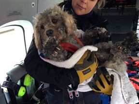 In this image provided by the Maritime & Coastguard Agency, winchman Kate Willoughby holds Ben the dog after he was rescued in the Cairngorms in Inverness, Scotland, Wednesday, March 13, 2019. It was a routine winter training mission in northeast Scotland until the Maritime and Coastguard Agency spotted a stranded dog on the snowy Cairngorms mountains below. They couldn't fly away and leave the dog in trouble, so winchman Mark Stevens on Wednesday was lowered to the ground, scooped up the cold and frightened animal, and raised back to the helicopter. (Maritime & Coastguard Agency via AP)