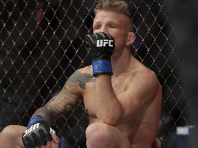 FILE - In this Jan. 20, 2019 file photo, TJ Dillashaw reacts after a flyweight mixed martial arts championship bout against Henry Cejudo at UFC Fight Night in New York.  Dillashaw has surrendered the UFC 135-pound championship because of an "adverse finding" in his last drug test. Dillashaw posted on social media that he would give up the belt after he was informed by the New York State Athletic Commission and the United States Anti-Doping Agency of the results of his test leading up to his last fight in January.  Dillashaw suffered first-round loss to Henry Cejudo and failed to become a two-division champion.