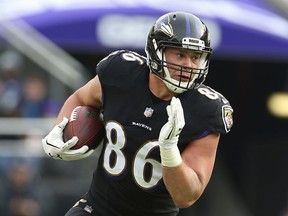 FILE - In this Nov. 18, 2018, file photo, Baltimore Ravens tight end Nick Boyle runs against the Cincinnati Bengals during an NFL football game, in Baltimore. The Ravens have signed Nick Boyle to a three-year contract, the latest in a series of moves by first-year general manager Eric DeCosta during a busy offseason. Though Boyle has not scored a touchdown over his four NFL seasons, the 6-foot-4, 270-pounder has value that transcends catches and scores.