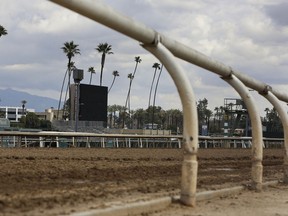 FILE - This March 7, 2019, file photo, shows the empty home stretch at Santa Anita Park in Arcadia, Calif. A filly broke both front legs at the end of a workout on the main dirt track at Santa Anita and has been euthanized, becoming the 22nd horse to suffer catastrophic injuries since Dec. 26. Trainer and owner David Bernstein says the 3-year-old filly named Princess Lili B broke down just past the finish line on Thursday morning, March 14, 2019.