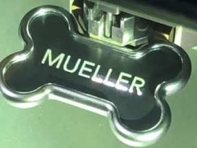 In this March 13, 2019 image from video provided by Alicia Barnett, her dog's tag is laser engraved with his name, "Mueller," at a pet store in Kansas City, Kan. At Christmas, her teenage son brought home a 10-week-old chocolate lab. "The strong, silent type," Barnett observed. And then she named him "Mueller" _ an homage to the stoic special prosecutor appointed to investigate Russian interference in the 2016 election and whether members of the Trump campaign played any part.