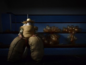 A participant dressed as the traditional carnival characters "Zaku Zaharrak," or old sack, in Basque language, poses for a photo while taking part during a carnival parade in the small Pyrenean village of Lesaka, northern Spain, Sunday, March 3, 2019. After sunset, covering their faces with white handkerchiefs, stuffed into sacks full of straw, and holding a stick with an inflated animal's bladder used to hit people, the Zaku Zaharrak characters parade for hours through the village dancing and singing while a band plays music.