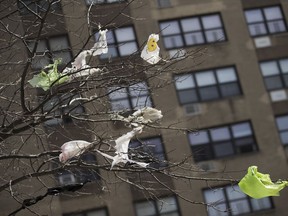 FILE- In this March 27, 2019 file photo, plastic bags are tangled in the branches of a tree in New York City's  East Village neighborhood. New York lawmakers are working through the final weekend of March 2019 to pass a budget that would include as one of its proposals a state wide ban on single use plastic bags.