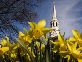 In this Wednesday, March 27, 2019 photo, the tower and steeple of Christ Church stands above newly bloomed daffodils in Philadelphia. The National Endowment for the Humanities has awarded a $500,000 grant to the historic church to restore its steeple and church tower.