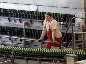 In this photo taken on Monday, March 11, 2019, a worker checks beer production line at the Budejovicky Budvar brewery in Ceske Budejovice, Czech Republic. The Budejovicky Budvar brewery in the Czech Republic managed to survive a decades-long trademark battle over whether it could call its beer Budweiser. But now it faces another potential threat: Brexit. The United Kingdom is one of the brewer's top five markets, and like many other businesses, it's concerned about what will happen if Britain leaves the European Union without an agreement governing trade.