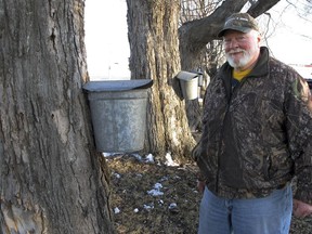 In this Wednesday, March 27, 2019 photo, maple syrup maker Fred Hopkins stands next to sap-collecting buckets in St. Albans, Vt., lent to him after 140 of his buckets were stolen off trees.