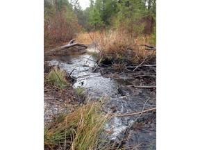This Jan. 6, 2014 photo shows water flowing through a stream in Lakehurst, N.J., part of the ecologically sensitive Pinelands region. On March 25, 2019, the New Jersey Department of Environmental Protection ordered five companies that make chemicals used to stain-proof clothing and make non-stick cookware to fund a plan to clean up contamination of the state's environment, including waterways, that have been tainted by the presence of the chemicals.
