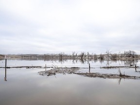 In this Monday, March 25, 2019 photo, standing water pools in a field near Loneman, S.D., on the Pine Ridge Indian Reservation, following spring flooding.