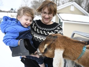 Sally Stanton, right, holds her grandson Murphy Drzewianowski as he feeds Lincoln the goat in Fair Haven, Vt. The 3-year-old Nubian goat is poised to become the first honorary pet mayor of the small Vermont town of Fair Haven.