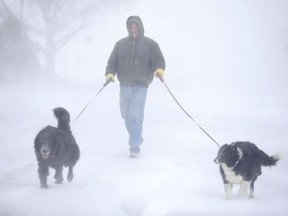 Tom Skaar of Cheyenne laughs while walking his dogs on House Avenue during a blizzard on Wednesday, March 13, 2019, in Cheyenne, Wyo. White-out conditions closed I-80, I-25, and U.S. 85, effectively closing off the state capital from Nebraska, Colorado and the rest of Wyoming.