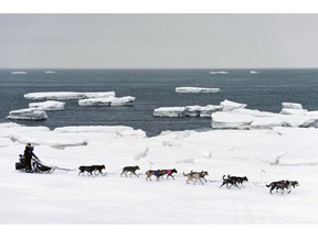 FILE - In this March 13, 2019, file photo, Jessie Royer passes icebergs in open water on Norton Sound as she approaches Nome, Alaska, in the Iditarod trail sled dog race. When a Feb. 22 storm pounded Norton Sound, water surged up the Yukon River and into Kotlik, flooding low-lying homes. The Bering Sea last winter saw record-low sea ice. Climate models predicted less ice, but not this soon, said Seth Danielson, a physical oceanographer at the University of Alaska Fairbanks.