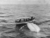 Crew members from the Canadian ship Mackay-Bennett recover Collapsible B, the overturned lifeboat on which Charles Joughin ultimately pulled himself to safety.