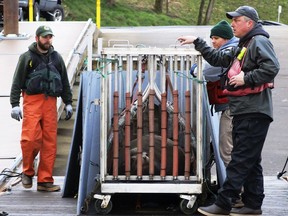 FILE - In this March 14, 2018 file photo, workers with the Oregon Department of Fish and Wildlife, the Washington Department of Fish and Wildlife and the Pacific States Marine Fisheries Commission work together to load a trapped California sea lion onto a truck after it was captured in the Willamette River near Oregon City, Ore. Wildlife officials say a plan to kill California sea lions to save an endangered run of fish on an Oregon river is working. The Oregon Department of Fish and Wildlife says that 2,400 steelhead reached the upper Willamette River to spawn this spring, the most in three years.