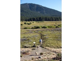 FILE - In this undated file photo a woman walks with her dogs in the scenic Martis Creek Wildlife Area in Martis Valley, Calif. California endured its worst ever year for wildfires in 2018, with 1.8 million acres burned and more than 100 wildfire deaths. But that's not stopping developers seeking to fit more people into high fire risk areas near one of the state's most iconic destinations. Builders near Lake Tahoe are fighting to add thousands of housing units and expand the capacity of a Tahoe-area resort despite objections from residents.