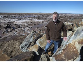 John Atkinson, an area farmer and land owner, stands on a dike along the LaPlanche River near Amherst, N.S. on Wednesday, March 20, 2019. Funding to rehabilitate close to a quarter of Nova Scotia's aging dikes threatened by rising sea levels is being announced today in the Annapolis Valley by two levels of government.