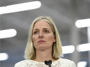 Minister of Environment and Climate Change Catherine McKenna speaks to reporters during a press conference on the Climate Action Incentive at a Canadian Tire store in Ottawa on Monday, March 4, 2019. McKenna says there's more than one way to fight climate change.