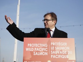 Federal Minister of Fisheries Jonathan Wilkinson speaks during an announcement with Premier John Horgan about the Salmon Restoration and Innovation Fund during a press conference at Fisherman's Wharf in Victoria, B.C., on Friday, March 15, 2019. Wilkinson today is announcing a total ban on all oil and gas activities, as well as mining, dumping of waste and bottom trawling, from all of Canada's marine protected areas.