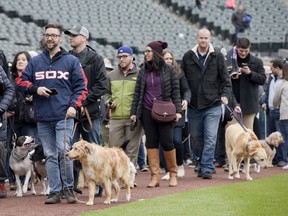 Frank Marin and his dog "P.J." participate in the White Sox Dog Days before a baseball game against the Baltimore Orioles, Monday, April 29, 2019, in Chicago.
