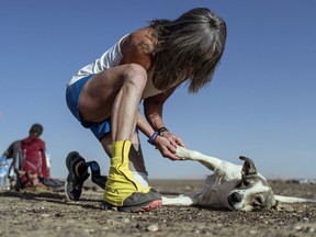 Amy Palmiero-Winters pets a dog nicknamed Cactus before day three of the Marathon des Sables, a 140.7 mile stage race through the Sahara in southern Morocco, April 9, 2019.