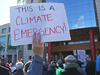 Ottawa residents rally outside Ottawa City Hall to demonstrate support for a motion to declare a climate emergency, April 16, 2019.