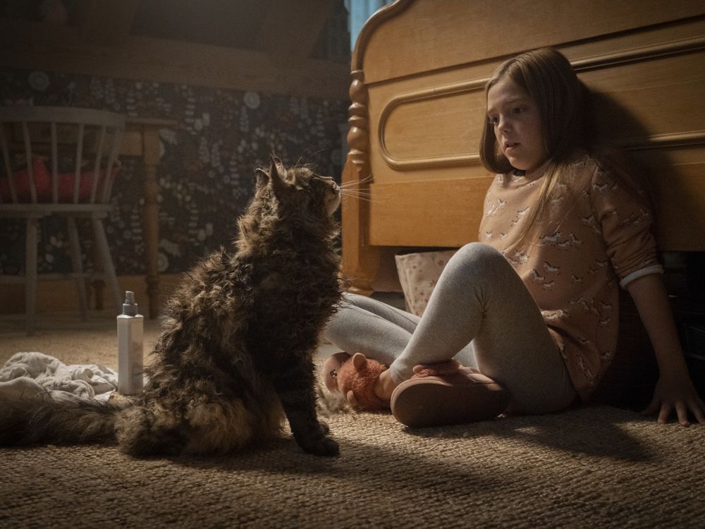 Watch pet sematary 2024 2019 online free reddit