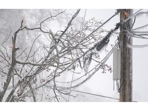 Frozen branches are shown on a power line following freezing rain and strong winds in Laval, Que., Tuesday, April 9, 2019.