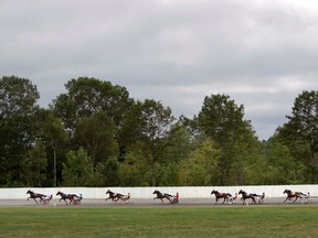 In this Thursday, Aug. 29, 2013 photo, harness race horses speed down the back stretch at the Windsor Fair in Windsor, Maine. The young filly could have been a contender.An adjudicator says Putnam's Snowstorm had the right bloodlines and the speed to potentially be a money-winning harness racer.