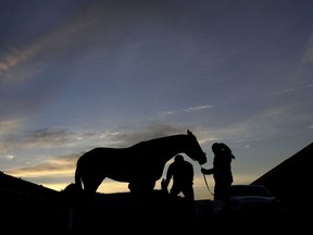 Kentucky Derby hopeful Game Winner gets a bath after a workout at Churchill Downs Monday, April 29, 2019, in Louisville, Ky. The 145th running of the Kentucky Derby is scheduled for Saturday, May 4.