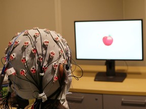 This Friday, April 5, 2019 photo provided by Boston University shows a cap that administers electrical stimulation and monitors brain waves for a visual working memory test at one of the school's laboratories. A study released on Monday, April 8, 2019, finds that zapping the brains of people over 60 with a mild electrical current improved a form of memory enough that they performed like people in their 20s.