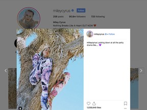 This image posted on the Instagram account of actress and singer Miley Cyrus shows her sitting in a Joshua Tree. Photos posted on her Instagram account showing Cyrus posing in a Joshua tree have drawn criticism from people concerned about protecting the iconic desert species. Joshua trees are protected in Joshua Tree National Park and the Mojave National Preserve as well as under some city and county ordinances. National Park spokesman George Land expressed concern that the singer's many followers might copy her actions. (Instagram via AP)