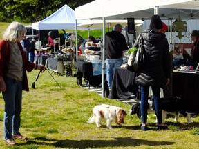 This April 27, 2019 photo shows two dogs getting acquainted at the Bayview Farmers Market near Langley, Wash. Bayview, like many farmers markets across the nation, has posted strict rules aimed at preventing dogs from approaching their craft, food and produce displays, citing breakage, safety and sanitary concerns.