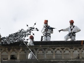 Workers stand on a roof of Notre Dame cathedral Wednesday, April 24, 2019 in Paris. Professional mountain climbers were hired to install synthetic, waterproof tarps over the gutted, exposed exterior of Notre Dame Cathedral, as authorities raced to prevent further damage ahead of storms that are rolling in toward Paris.