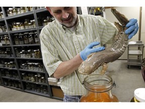 The House voted 191-6 on Tuesday, April 16, 2019, to grant the honor to the Eastern hellbender, and Gov. Tom Wolf's office said he plans to sign it. AP Photo/Alex Brandon, File)
