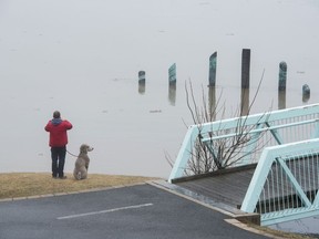 A man and his dog look over the high waters in Fredericton on Sunday, April 21, 2019.